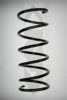 SPIDAN 56444 Coil Spring